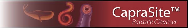 Mt Capra CapraSite is a Herbal Intestinal Parasite Cleanser.
