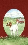Country Tales by Gail Bowman