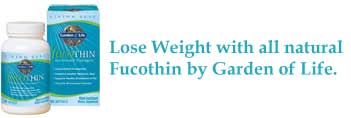 Fucoxanthin is the most effective weight loss product on the market today!